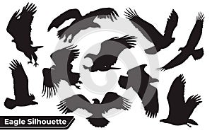 Collection of bird eagle silhouettes in different positions