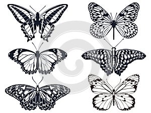 Collection of black butterfly icons with patterns. Vector illustration