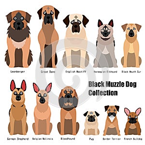 Collection of black muzzle dog photo