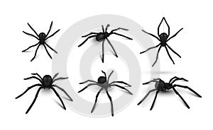 Collection black realistic spider vector illustration dangerous insect symbol of Halloween or phobia