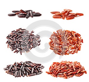 Collection of black and red wild rice