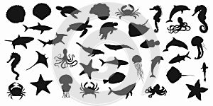 Collection of black set silhouettes of fish, seahorse, shells, octopuses, dolphins, sharks, whales, crabs and stingrays on a white