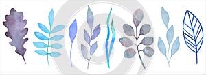Collection of blue branches and leaves. Watercolor botanical clipart in winter colors. Simple minimalistic various