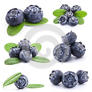 Collection of Blueberries