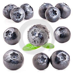 Collection of Blueberries
