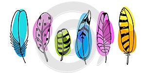 Collection of bright bird feathers. Different shape and color. Vector Patterned Feathers Set. Hand drawn collection. Color