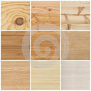 Collection of bright wood textures