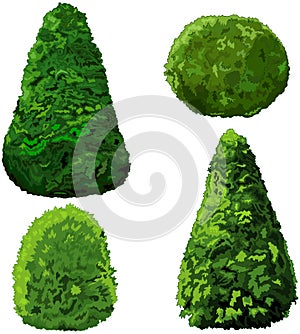 Collection of Bushes and Cypress