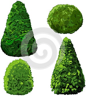 Collection of Bushes and Cypress photo