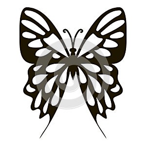 Collection butterfly icon, simple style