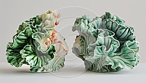 collection cabbage,