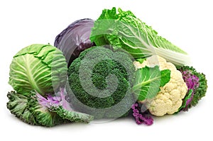 Collection cabbage