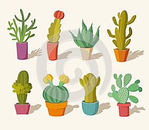 Collection of cactus