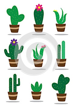 collection of cactus plants. Vector illustration decorative design