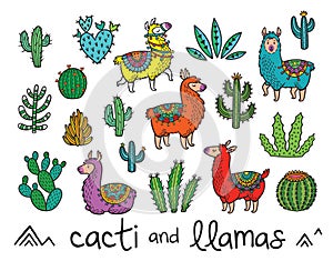 Collection of cactuses and llamas in cartoon style. Vector illustration