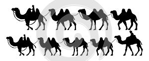 Collection of Camel Herder Silhouette illustration. Camel Caravan Silhouette