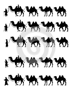 Collection of Camel Herder Silhouette illustration. Camel Caravan Silhouette