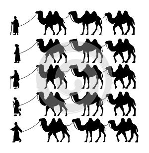 Collection of Camel Herder Silhouette illustration. Camel Caravan Silhouette