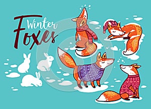 Collection of cartoon foxes in cozy sweaters. Vector illustration