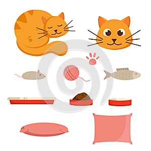 Collection for cat or dog. Sleeping cat. Toys. Bowl with food and empty plate. Cat basket. Mice and fish. Ball of thread