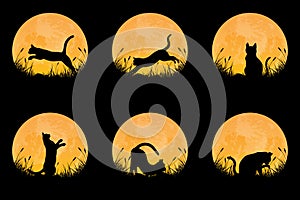 Collection of cat silhouette in different posture on grass field with full moon background