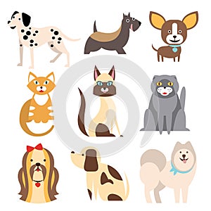 Collection of Cats and Dogs Different Breeds