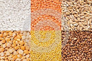 Collection of cereals and legumes