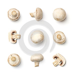 Collection of champignons isolated on white background