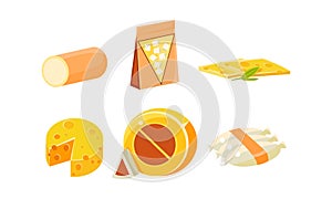 Collection of cheese assortment, various types of cheese vector Illustration