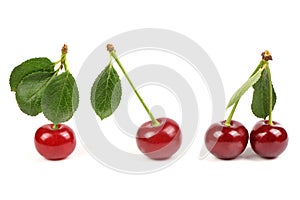 Collection of cherries with green leaf isolated on white background, side view. Extrem close-up