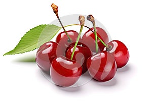 Collection of fresh cherries isolated on white background.