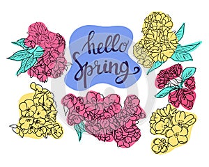 Collection of cherry and apple tree blossom sketch design element.