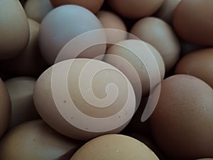 collection of chicken eggs, egg prices fluctuate photo