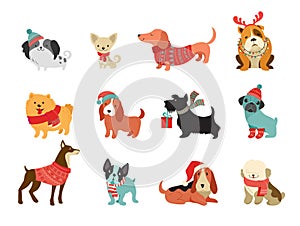 Collection of Christmas dogs, Merry Christmas illustrations of cute pets with accessories like a knited hats, sweaters