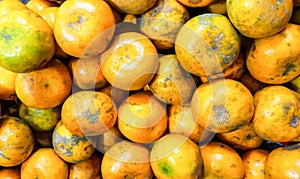 a collection of citrus fruits at the fruit market