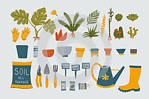 Collection of clipart with Hand drawn plants and flowers in pots. Cute card or poster with monstera, ficus, fern, succulent and