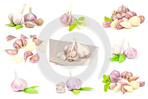 Collection of Clove of garlic