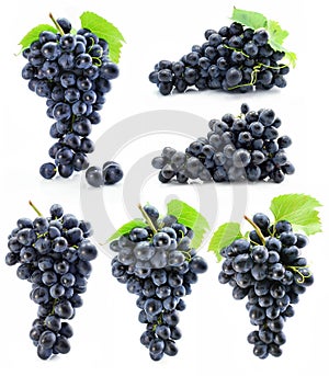 Collection cluster of blue grape isolated