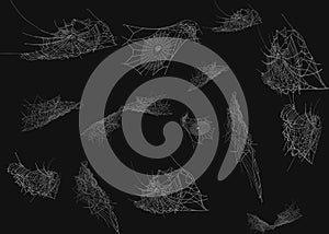 Collection of Cobweb, isolated on black, transparent background. Spiderweb for Halloween design. Spider web elements,spooky, scary