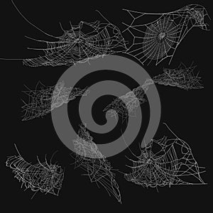 Collection of Cobweb, isolated on black, transparent background. Spiderweb for Halloween design. Spider web elements,spooky, scary