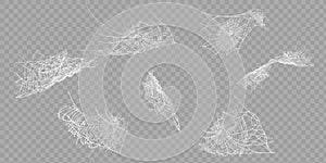 Collection of Cobweb, isolated on black, transparent background. Spiderweb for Halloween design. Spider web elements,spooky, scary