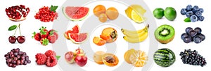 Collection of color fruits on white background.
