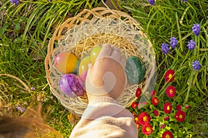 Collection of colored eggs by children.Easter Egg Hunt. Childs hand puts colorful eggs in a wicker basket in blue