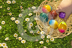 Collection of colored eggs by children.Easter Egg Hunt. Easter holiday tradition. Child collect painted Easter eggs in