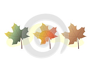 collection of colorful autumn leaves. autumn warm and bright colors illustration