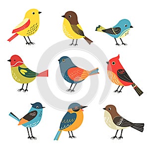 Collection colorful bird illustrations, various species, cartoon style. Birds feature bright