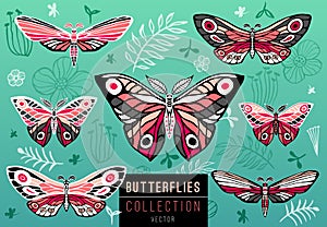 Collection of colorful butterflies on a floral background, vector set of insects, vintage style, wings, flowers, leaves.