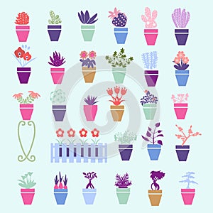 Collection colorful silhouette of garden, house flowers and herb