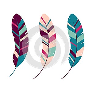 collection of colorful stylized feathers