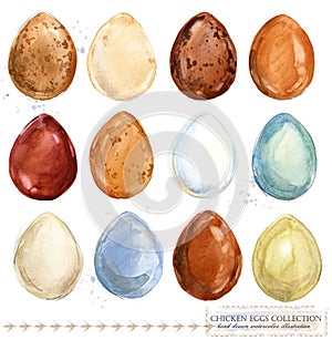 Collection of colorful watercolor chicken eggs